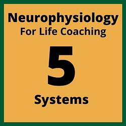 Life Coaching Services Online - 5 Systems